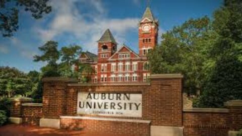 Postdoctoral Teaching Fellowship at Auburn University 2021-22