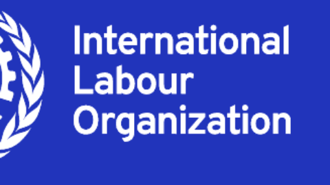 International Labour Organisation Fellowship and Seed Grants 2021 ($18,000)
