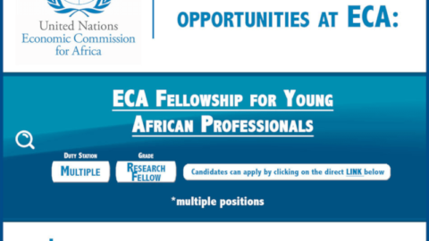 ECA Fellowship Programme for Young African Professionals.