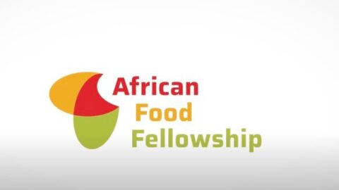 African Food Fellowship Systems Leadership Programme 2021.