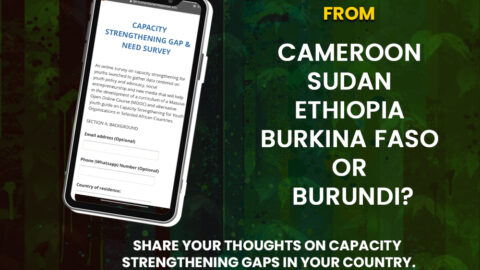 Youthhubafrica’s Survey on Capacity Strengthening for Youth Organisations in Africa