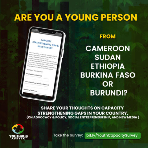 Youthhubafrica’s Survey on Capacity Strengthening for Youth Organisations in Africa
