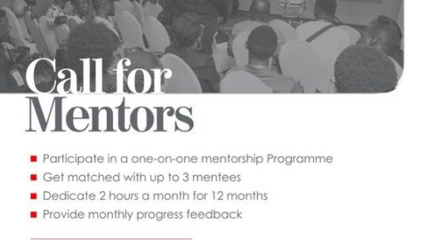 Tony Elumelu Foundation Mentorship Programme 2021.