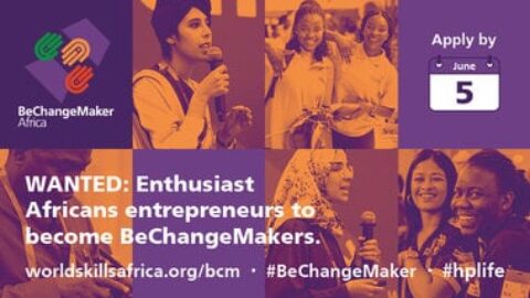 BeChangeMaker Africa Social Entrepreneurship Programme for Young Africans.