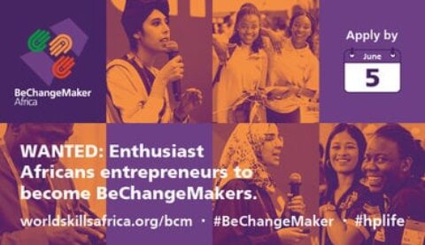 BeChangeMaker Africa Social Entrepreneurship Programme for Young Africans.