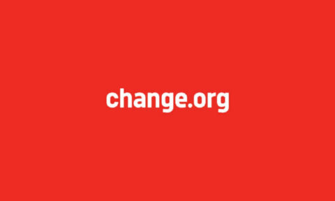 Paid Internship at Change.org South Africa.