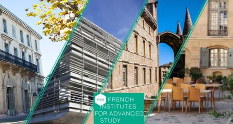 The French Institutes for Advanced Study Fellowship Programme