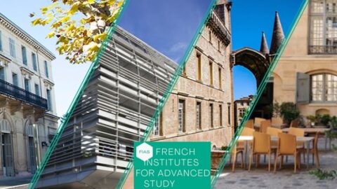 The French Institutes for Advanced Study Fellowship Programme