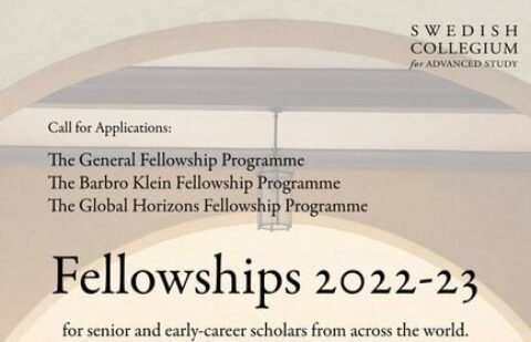 The Barbro Klein Fellowship Programme 2022 (Salary Available)