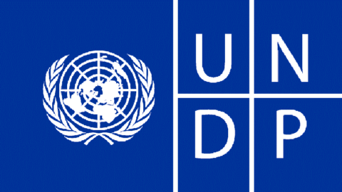 UNDP Graduate Program 2021(Funded)