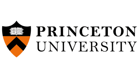 Lecturing and Fellowship at Princeton Arts University ($86,000)