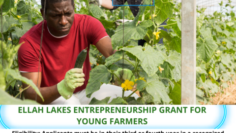 Closed: EduGrant: Ellah Lakes Entrepreneurship Grant for Young Farmers.