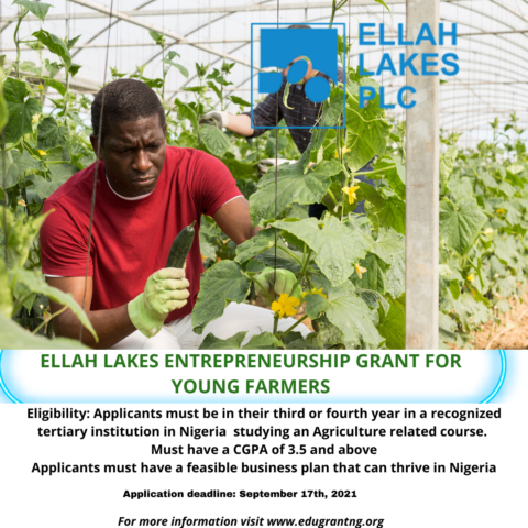 Closed: EduGrant: Ellah Lakes Entrepreneurship Grant for Young Farmers.