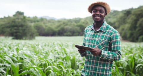 African Food Fellowship (Scholarships to be awarded)