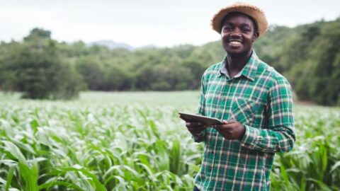 African Food Fellowship (Scholarships to be awarded)