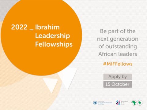 Mo Ibrahim Foundation Leadership Fellowship Program 2022