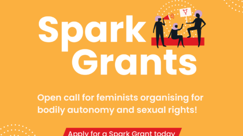 SheDecides Spark Grants for Young Feminist Organisers  (USD 20,000)