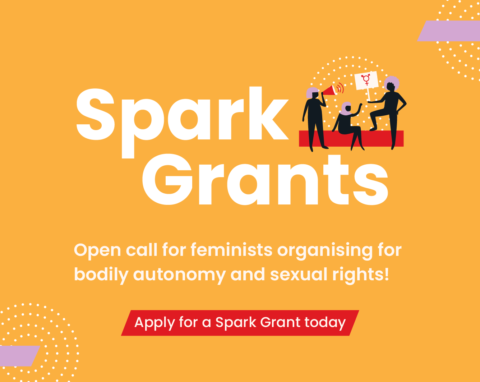 SheDecides Spark Grants for Young Feminist Organisers  (USD 20,000)