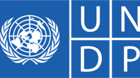 Intern with UNDP as an SoftWare developer