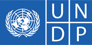 Intern with UNDP as an SoftWare developer