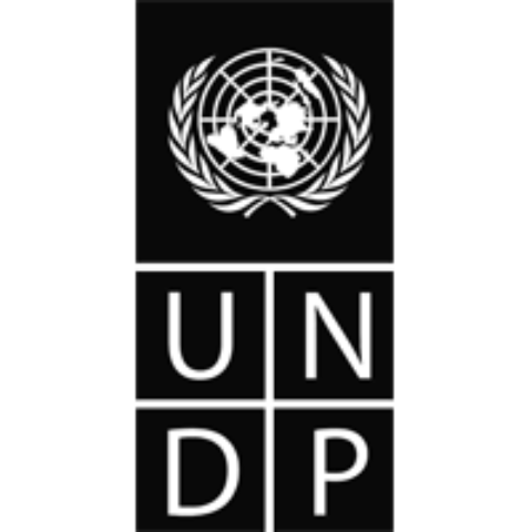 Intern with UNDP as an ICT Technician
