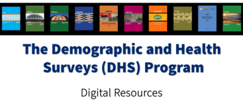 Demograhic and Health Surveys Fellowship Program 2021 ($2000 Honorarium)