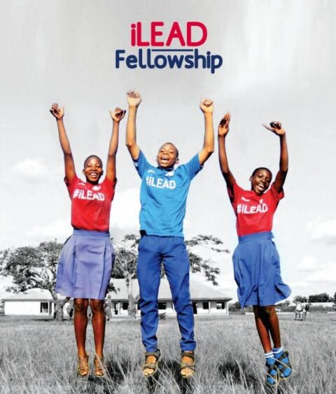 Closed: iLead Fellowship Programme Call for Mentors 2021