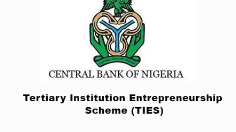 CBN Tertiary Institutions Entrepreneurship Scheme For Nigerian Graduates