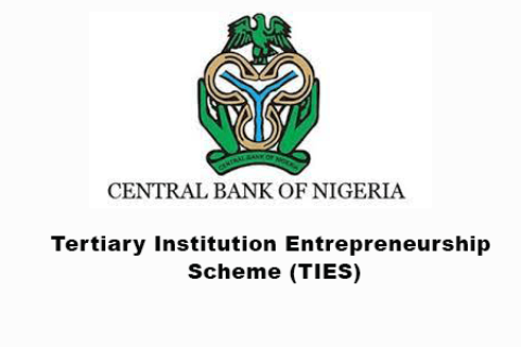 CBN Tertiary Institutions Entrepreneurship Scheme For Nigerian Graduates