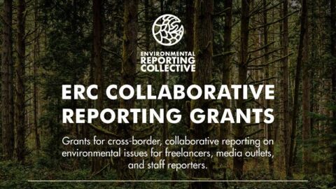ERC Collaborative Reporting Grants 2022 ($3,000)