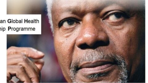 Kofi Annan Global Health Leadership Programme 2022 (Funded)