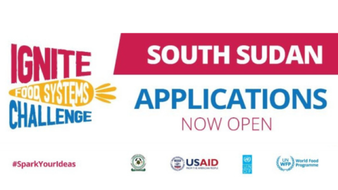WFP IGNITE Food Systems Challenge South Sudan 2022 ($40,000)