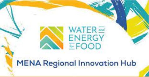 Water and Energy for Food Call for Innovations 2021 (Up to $300,000 Grant)