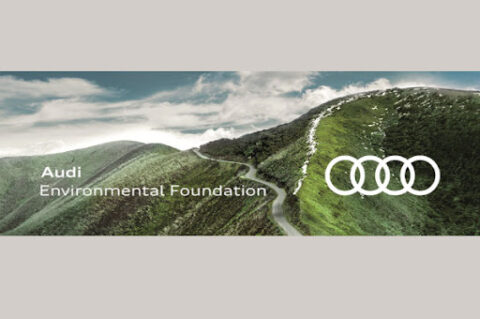 Audi Environmental Foundation Scholarship 2022 (Fully funded)