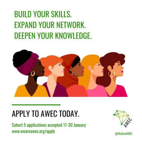 AWEC Programme For African Female Entrepreneurs 2022