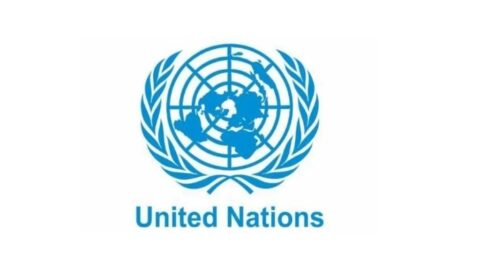 United Nations Internship Programme 2022