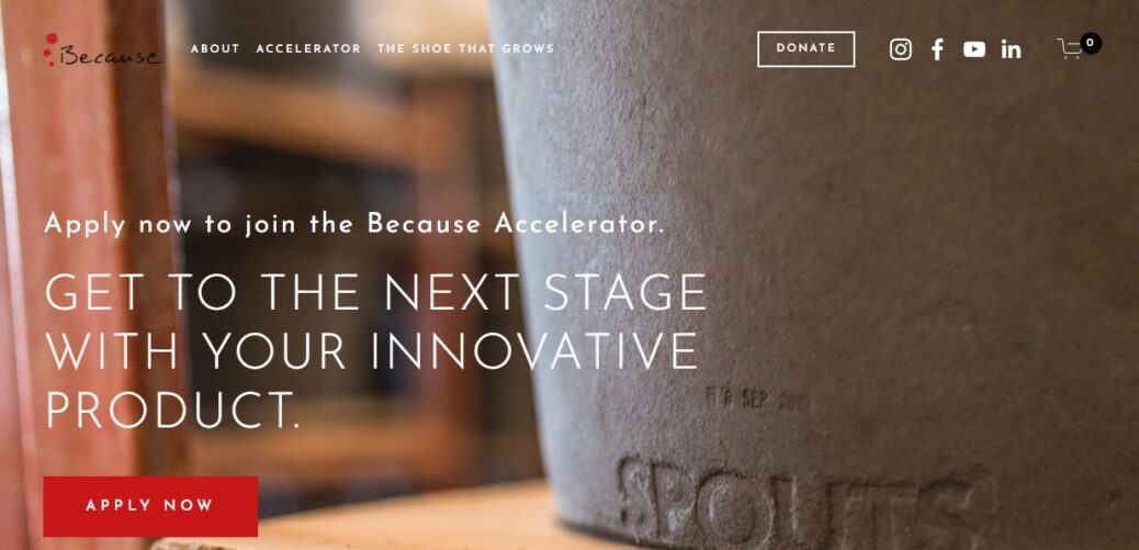 The Because Accelerator for Entrepreneurs