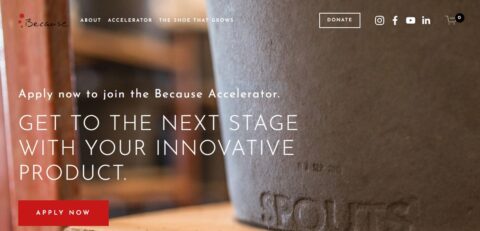 Closed: The Because Accelerator for Entrepreneurs 2022