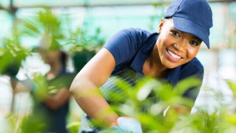 French Embassy Women Agripreneurs Programme For South African Women 2022