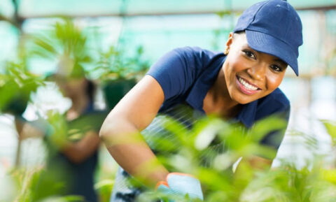 French Embassy Women Agripreneurs Programme For South African Women 2022