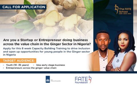 FATE Foundation/CBI Ginger Capacity Building Training For National Entrepreneurs 2022