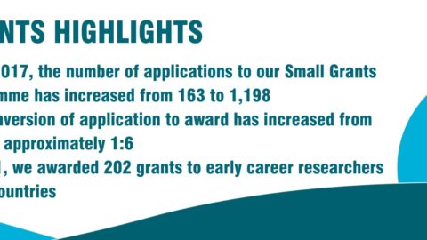 The RSTMH Early Career Grants Programme 2022