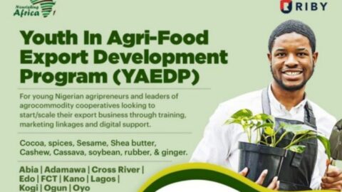 Closed: Youth in Agri-food Export Development Program (YAEDP) for Nigerians 2022