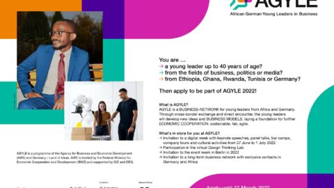 Closed: African German Young Leaders (AGYLE ) in Business  Program 2022  (Funded to Germany)