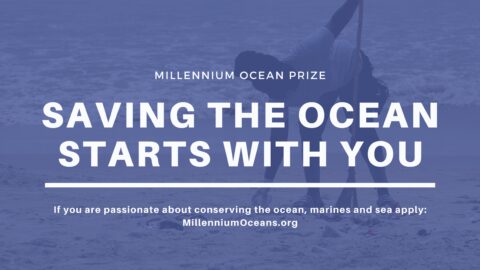 Millennium Oceans Prize For Undergraduates ($5,000)