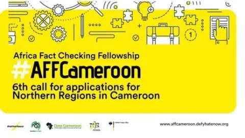Africa Fact Check Fellowship 2022
