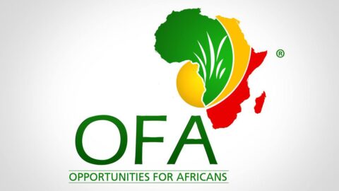 The African Development Bank Virtual Internship Program for young Africans 2022