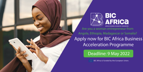 Business Incubator Communities (BIC) Africa Acceleration Program 2022