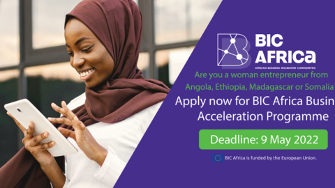 Business Incubator Communities (BIC) Africa Acceleration Program 2022