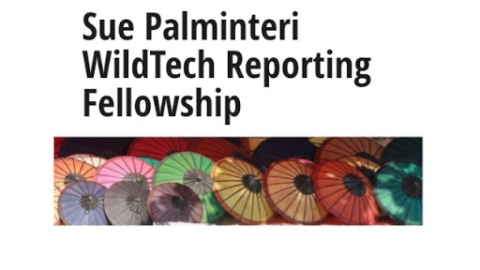 Sue Palminteri WildTech Reporting Fellowship 2022